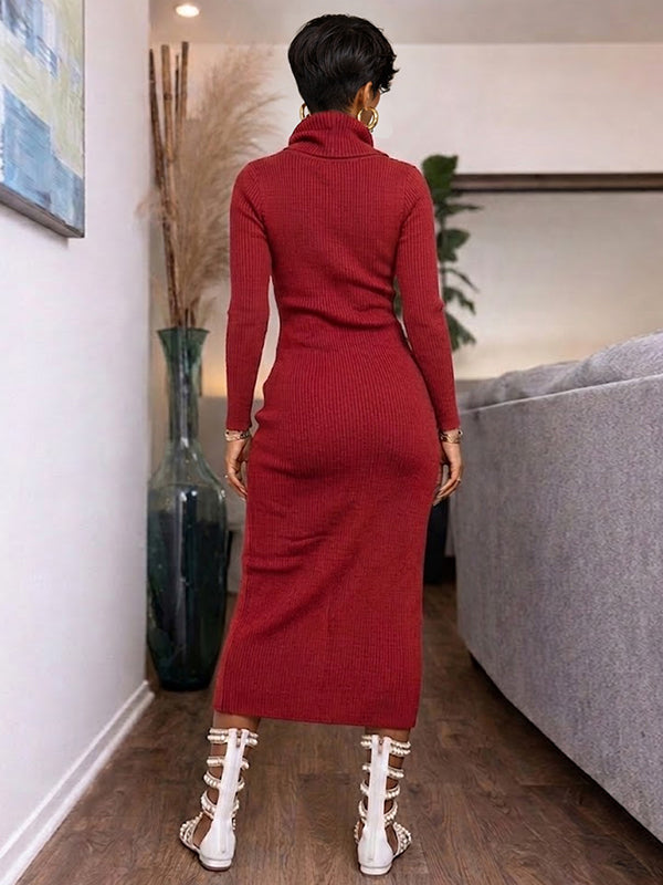 Knit Turtleneck Slit Tunic Top