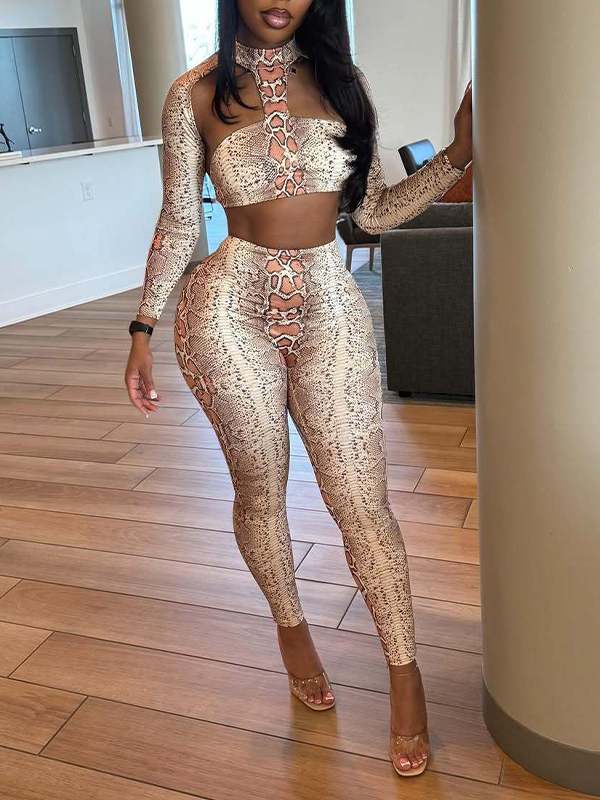 Leopard Cutout Top & Pants Set